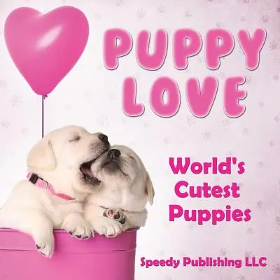 Amore per i cuccioli - I cuccioli più belli del mondo - Puppy Love - World's Cutest Puppies