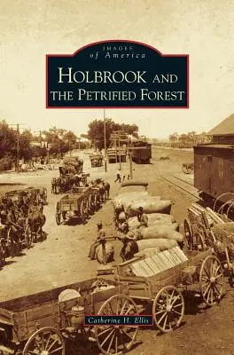 Holbrook e la foresta pietrificata - Holbrook and the Petrified Forest