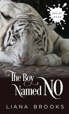 Il ragazzo chiamato No - The Boy Named No
