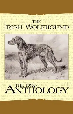 Il bracco irlandese - Antologia canina (Un classico della cinofilia d'epoca) - The Irish Wolfhound - A Dog Anthology (A Vintage Dog Books Breed Classic)
