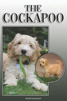 Il Cockapoo: Una guida completa ed esaustiva per i proprietari a: Comprare, possedere, salute, toelettatura, addestramento, obbedienza, comprensione e - The Cockapoo: A Complete and Comprehensive Owners Guide To: Buying, Owning, Health, Grooming, Training, Obedience, Understanding and