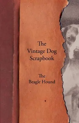 L'album dei ricordi del cane d'epoca - Il Segugio Beagle - The Vintage Dog Scrapbook - The Beagle Hound