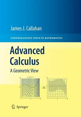Calcolo avanzato: Una visione geometrica - Advanced Calculus: A Geometric View