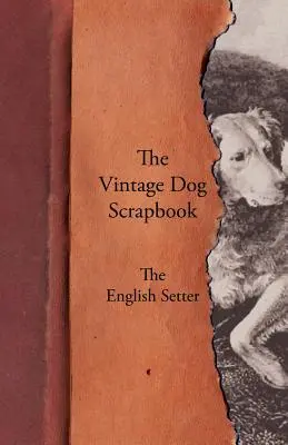 Il diario d'epoca del cane - Il Setter inglese - The Vintage Dog Scrapbook - The English Setter