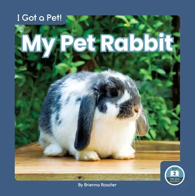 Il mio coniglio domestico - My Pet Rabbit