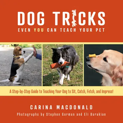 Trucchi per cani che anche voi potete insegnare al vostro animale: Una guida passo passo per insegnare al vostro animale domestico a sedersi, a prendere, a recuperare e a stupire - Dog Tricks Even You Can Teach Your Pet: A Step-By-Step Guide to Teaching Your Pet to Sit, Catch, Fetch, and Impress