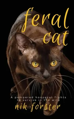 Gatto selvatico - Feral Cat