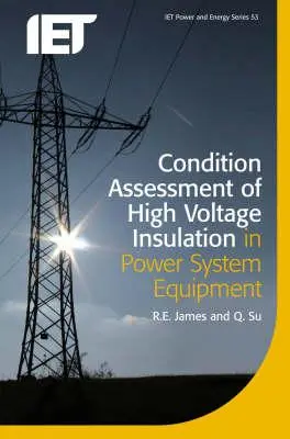 Valutazione delle condizioni dell'isolamento ad alta tensione nelle apparecchiature del sistema di potenza - Condition Assessment of High Voltage Insulation in Power System Equipment