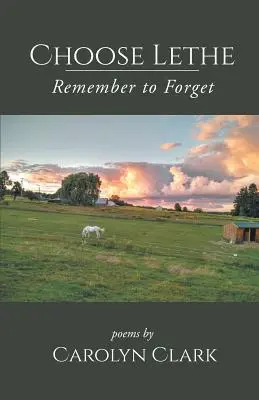 Scegliere Lethe: Ricordare per dimenticare - Choose Lethe: Remember to Forget