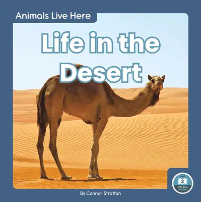 La vita nel deserto - Life in the Desert