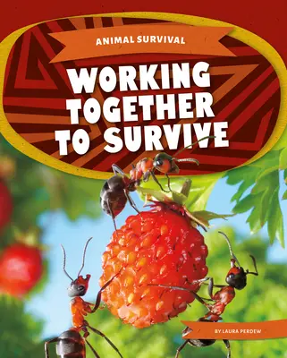 Lavorare insieme per sopravvivere - Working Together to Survive