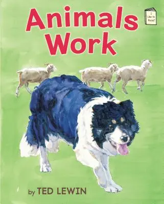 Gli animali lavorano - Animals Work