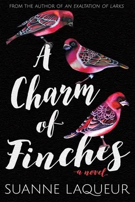 Un fascino di fringuelli - A Charm of Finches