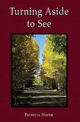 Voltarsi per vedere - Turning Aside to See