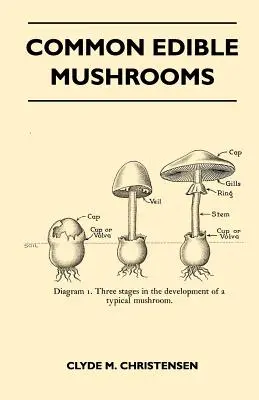 Funghi commestibili comuni - Common Edible Mushrooms