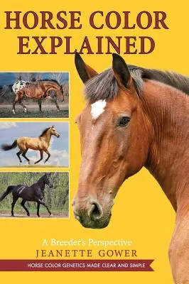 Il colore dei cavalli spiegato: Il punto di vista di un allevatore - Horse Color Explained: A Breeder's Perspective