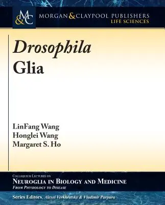 Glia di Drosophila - Drosophila Glia
