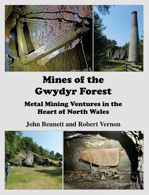 Le miniere della foresta di Gwydyr: Imprese di estrazione dei metalli nel cuore del Galles settentrionale - Mines of the Gwydyr Forest: Metal Mining Ventures in the Heart of North Wales