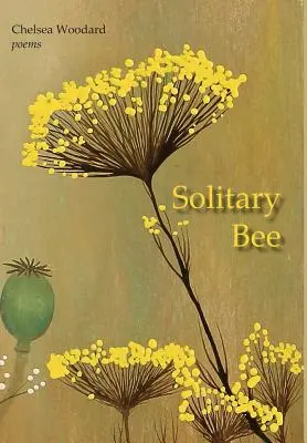 Ape solitaria - Solitary Bee