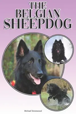 Il cane da pastore belga: Guida completa ed esaustiva per principianti a: Acquisto, possesso, salute, toelettatura, addestramento, obbedienza, comprensione - The Belgian Sheepdog: A Complete and Comprehensive Beginners Guide To: Buying, Owning, Health, Grooming, Training, Obedience, Understanding