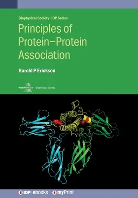 Principi dell'associazione proteina-proteina - Principles of Protein-Protein Association