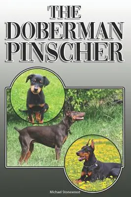 Il Doberman Pinscher: Una guida completa ed esaustiva per i proprietari a: Acquistare, possedere, salute, toelettatura, addestramento, obbedienza, comprensione e - The Doberman Pinscher: A Complete and Comprehensive Owners Guide To: Buying, Owning, Health, Grooming, Training, Obedience, Understanding and
