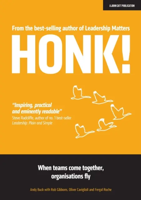 HONK - Quando i team si uniscono, le organizzazioni volano - HONK - When teams come together, organisations fly