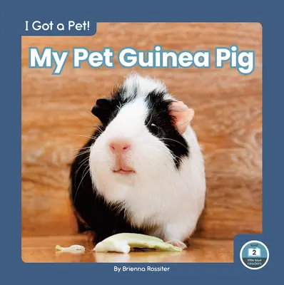 Il mio cucciolo di porcellino d'India - My Pet Guinea Pig