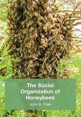 L'organizzazione sociale delle api da miele - The Social Organisation of Honeybees