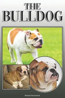 Il Bulldog: Una guida completa ed esaustiva per i proprietari a: Acquistare, possedere, salute, toelettatura, addestramento, obbedienza, comprensione e - The Bulldog: A Complete and Comprehensive Owners Guide To: Buying, Owning, Health, Grooming, Training, Obedience, Understanding and