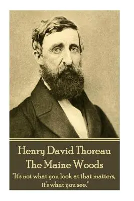 Henry David Thoreau - I boschi del Maine: La massa degli uomini conduce una vita di tranquilla disperazione“”. - Henry David Thoreau - The Maine Woods: The mass of men lead lives of quiet desperation.