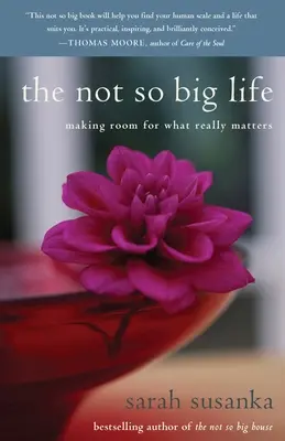 La vita non così grande: Fare spazio a ciò che conta davvero - The Not So Big Life: Making Room for What Really Matters