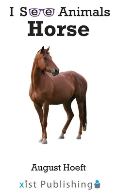 Cavallo - Horse