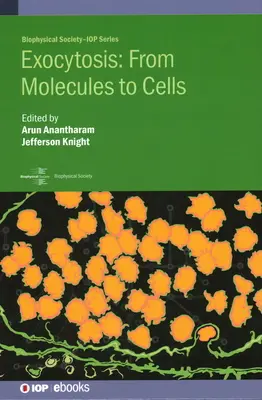 Esocitosi: Dalle molecole alle cellule - Exocytosis: From Molecules to Cells