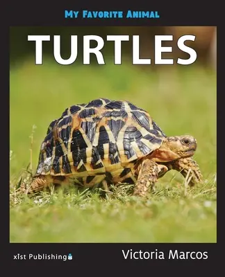 Il mio animale preferito: Tartarughe - My Favorite Animal: Turtles