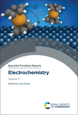 Elettrochimica: Volume 17 - Electrochemistry: Volume 17