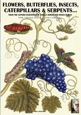 fiori, farfalle, insetti, bruchi e serpenti...: Dalle incisioni di Sybilla Merian e Moses Hariss dei secoli XVII-XVIII - flowers, butterflies, insects, caterpillars & serpents...: From Sybilla Merian & Moses Hariss XVII-XVIII Centuries engravings