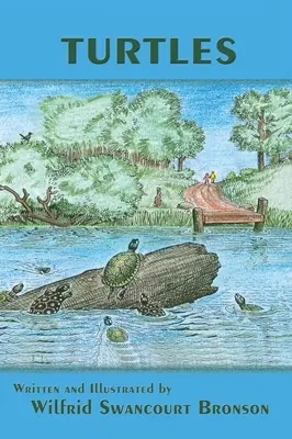 Le tartarughe - Turtles