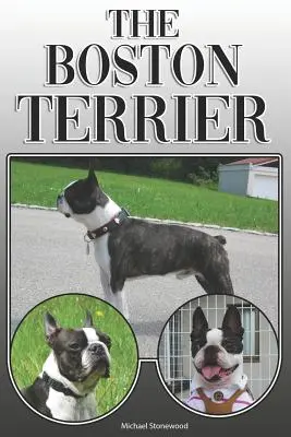 Il Boston Terrier: Una guida completa ed esaustiva per il proprietario: Comprare, possedere, salute, toelettatura, addestramento, obbedienza, comprensione e - The Boston Terrier: A Complete and Comprehensive Owners Guide To: Buying, Owning, Health, Grooming, Training, Obedience, Understanding and
