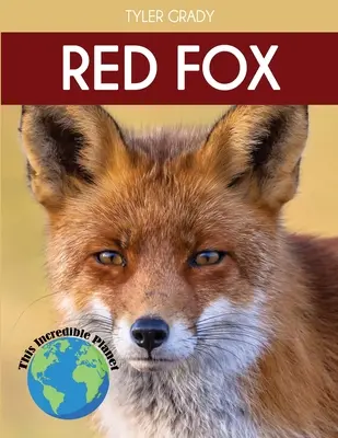 Volpe rossa: Fatti affascinanti sugli animali per bambini - Red Fox: Fascinating Animal Facts for Kids