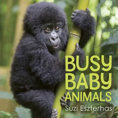 Animali bambini occupati - Busy Baby Animals