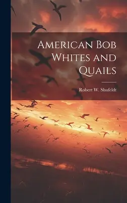 Bob bianchi e quaglie americane - American bob Whites and Quails