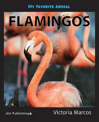 Il mio animale preferito: Fenicotteri - My Favorite Animal: Flamingos