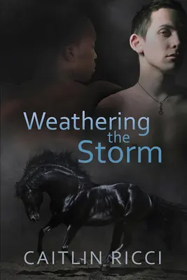 Resistere alla tempesta: Volume 1 - Weathering the Storm: Volume 1