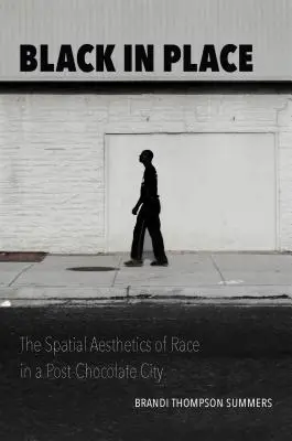 Nero sul posto: L'estetica spaziale della razza in una città post cioccolatosa - Black in Place: The Spatial Aesthetics of Race in a Post-Chocolate City