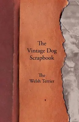 Diario di un cane d'epoca - Il Welsh Terrier - The Vintage Dog Scrapbook - The Welsh Terrier