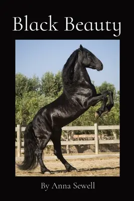 Bellezza nera: Di Anna Sewell - Black Beauty: By Anna Sewell