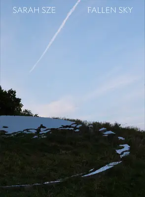 Sarah Sze: Il cielo caduto - Sarah Sze: Fallen Sky