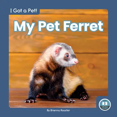 Il mio furetto da compagnia - My Pet Ferret