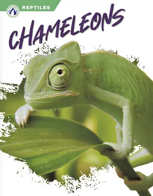 Camaleonti - Chameleons